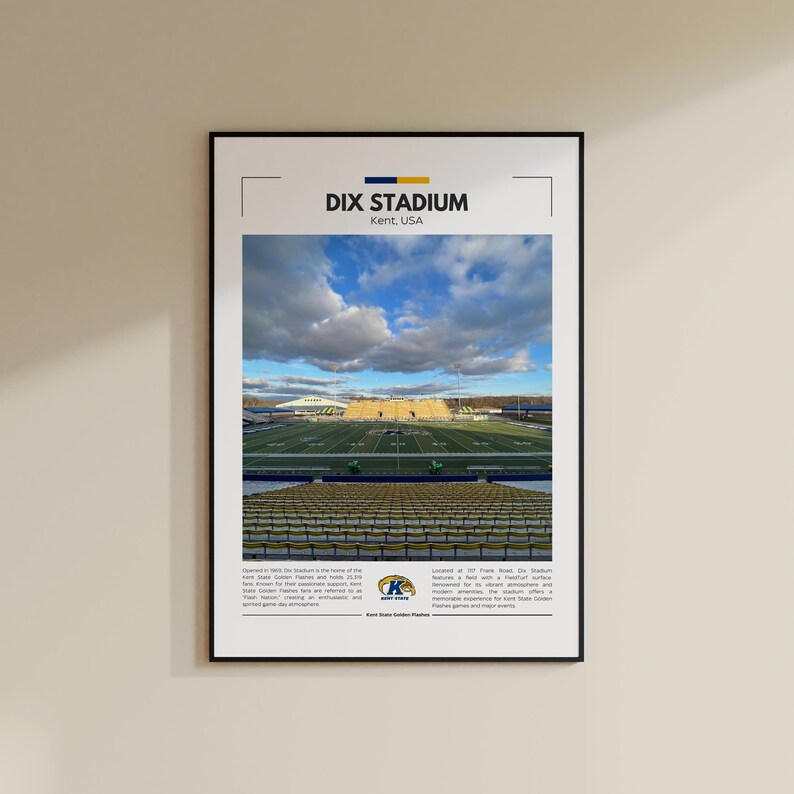 Dix Stadium Print Kent State Golden Flashes Poster Vintage NFL Print