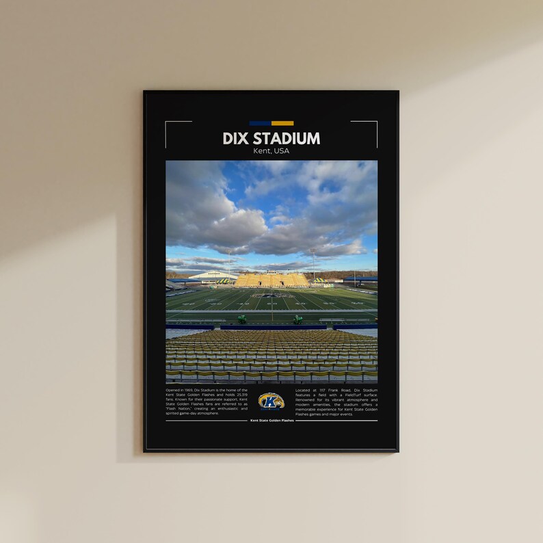 Dix Stadium Print Kent State Golden Flashes Poster Vintage NFL Print