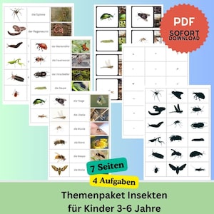 Zuordnungskarten, Lernkarten Insekten  – Vorschule & Kindergarten |  PDF Druckvorlage, montessori inspirierte, spannende Karten