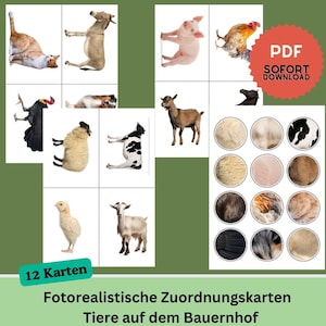 Schede di abbinamento fotorealistiche: animali della fattoria – Materiale didattico Montessori in formato PDF | Riconoscere gli animali e abbinare i modelli per i bambini