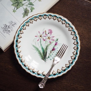 Vintage 19th century England Royal Worcester plate