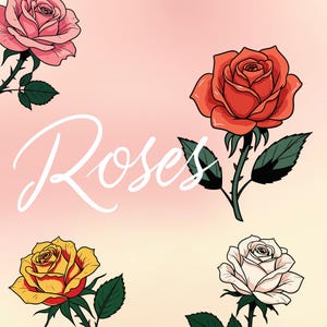 Rose SVG Bundle | 18 Hand-Drawn Rose Illustrations | Floral Clipart | Instant Download | AI, Transparent PNG & Adobe Illustrator Files