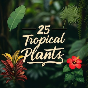 Lot de plantes tropicales SVG | 25 fichiers PNG, SVG et Adobe Illustrator | Monstera, feuille de bananier, palmier, hibiscus, pothos et plus