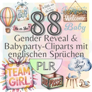 88 Gender Reveal & Baby Shower Cliparts met PLR – Engelse spreuken, PNG's met transparante achtergrond, 406 DPI, commercieel bruikbaar