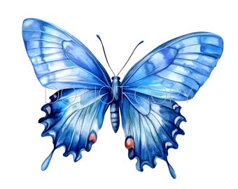 Blue Watercolor Butterfly PNG Digital Download File
