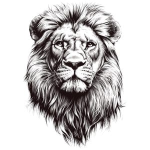 Cabeça de leão minimalista caneta e tinta PNG arquivo digital para download