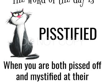 Könnte beinhalten: Ein humorvolles Bild mit einer grimmigen schwarz-weißen Katze und dem Wort "PISSTIFIED" in fetten Buchstaben. Der Text darunter erklärt die Bedeutung des Wortes: "Wenn man gleichzeitig sauer und verblüfft über ihre Dummheit ist."