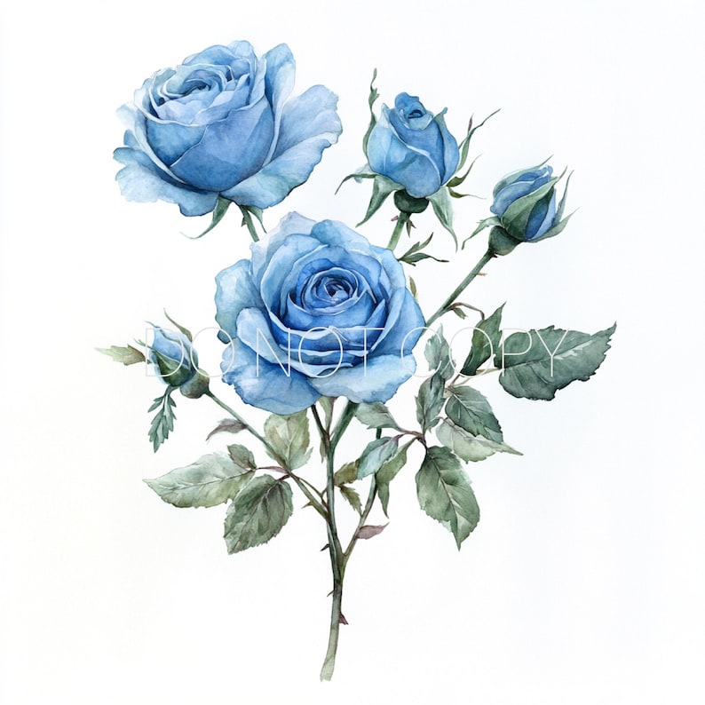 Watercolor Blue Rose PNG Digital Download File - Etsy