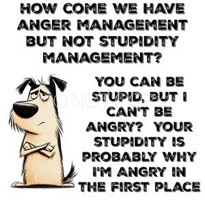 May include: A cartoon dog with a mournful expression and crossed arms. Text above and to the right reads: "How come we have anger management but not stupidity management?" and other related phrases.