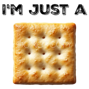 May include: A close-up of a square, golden brown cracker with a grid pattern of small holes. The text "I'M JUST A" is written above the cracker.
