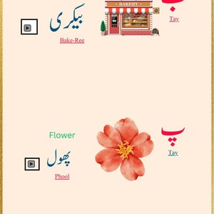 Urdu Beginner Guide And Worksheet - Lesson 1  Alphabet with Audio