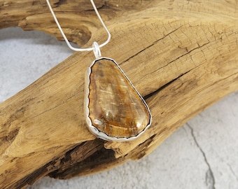 North Carolina Petrified Wood Pendant, Fossil Necklace in Sterling Silver, Earthy Wood Jewelry, Tree Ring Gift for Her