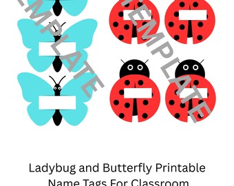 2 Pack of Insect Name Tags For Classroom