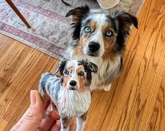 Puede incluir: Una figurita de perro pastor australiano azul merle junto a un perro pastor australiano azul merle real. La figurita está siendo sostenida en la mano de una persona.