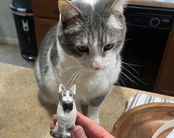 Best Cat, Personalized Cat Cake Topper, Wedding Cake Topper, Custom Cat Cake Topper, Cat Cake Topper, Pet Cake Topper , Anniversary Cake
