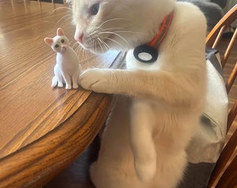 Custom Cat Statue, Pet Decorations, Cat Wedding Cake Topper, Pet Birthday Topper,Pet Memorial Gift, Cat Birthday Gift, Anniversary Gifts