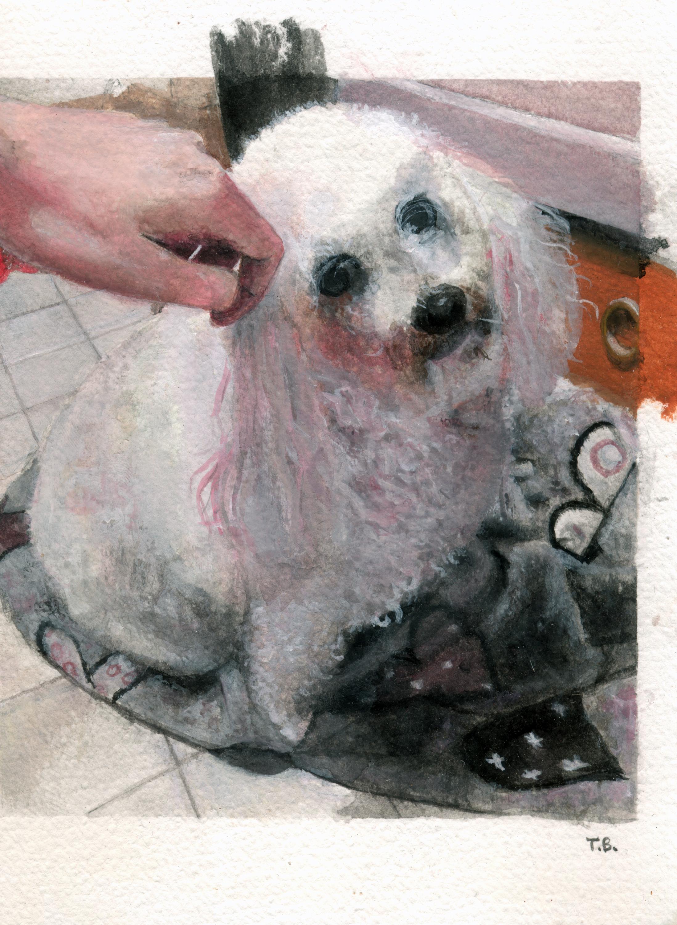 Custom painting - Pet portrait gouache painting