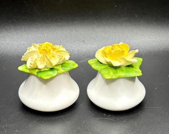 Salero y pimentero vintage de porcelana inglesa Aynsley con diseño floral.