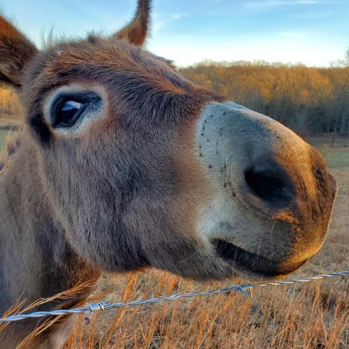 ヴィンテージ フェントン オパールセント ホブネイル ブドワール