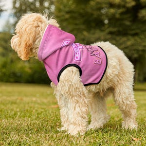 Ich spiele Dress to Impress mit meinen BADDIES DTI Dress to Impress Roblox Fashion Game Dog Cat Pet Hoodie