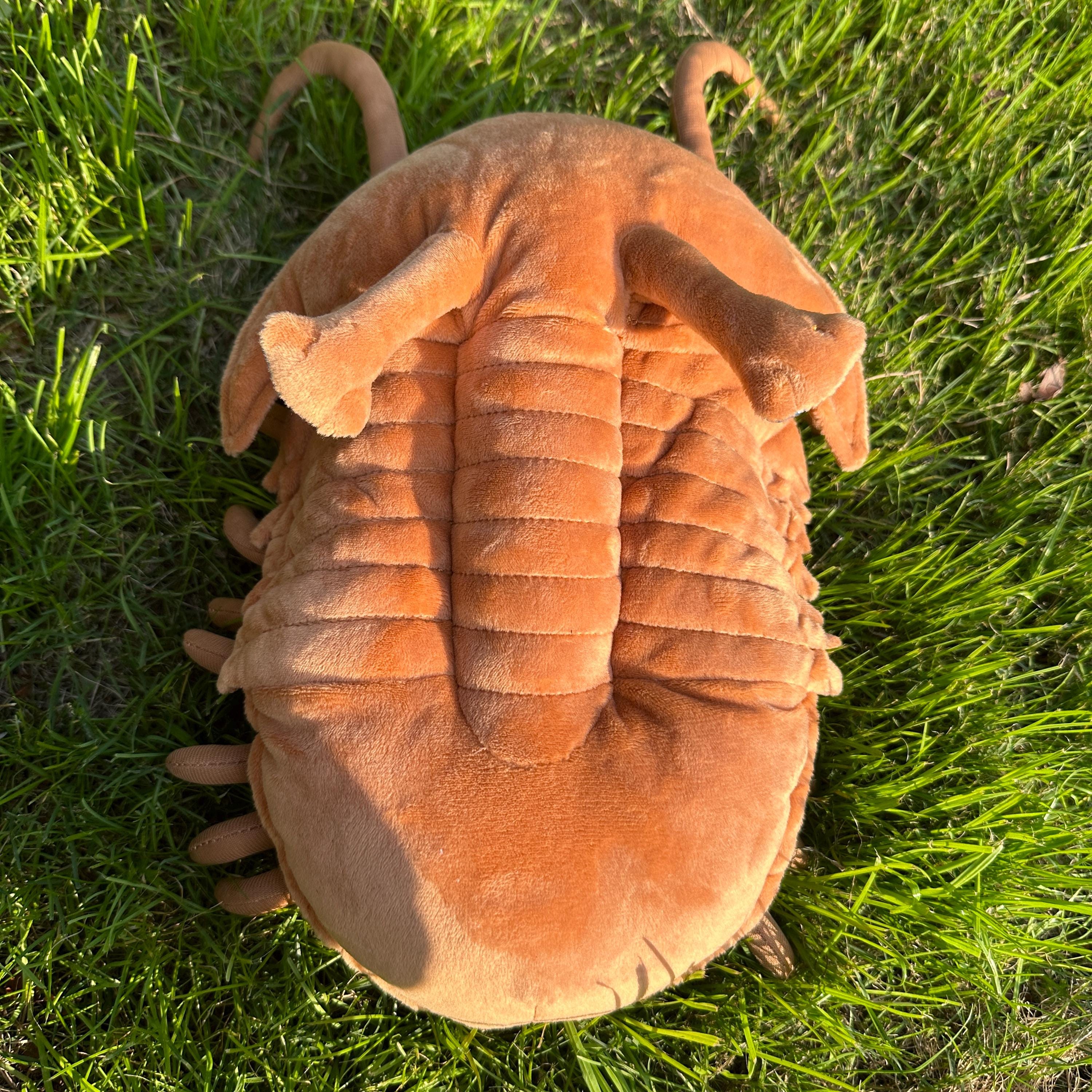 Giant Trilobite Plush Toy – Lifelike 16-inch Stuffed Animal, Realistic Arthropod Plushie For Kids & Collectors | Soft Crustacean Simulation Insect Toy - View #7