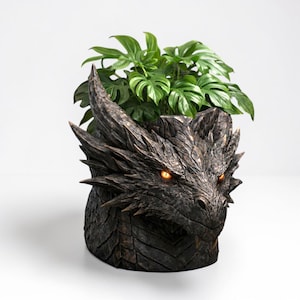 Peut inclure: Un pot de fleurs en forme de tête de dragon gris foncé avec des yeux orange brillant, contenant une plante verte vibrante. Le pot a une apparence texturée et écailleuse, ajoutant à son thème fantastique. Les grandes feuilles vertes de la plante contrastent avec le pot sombre.