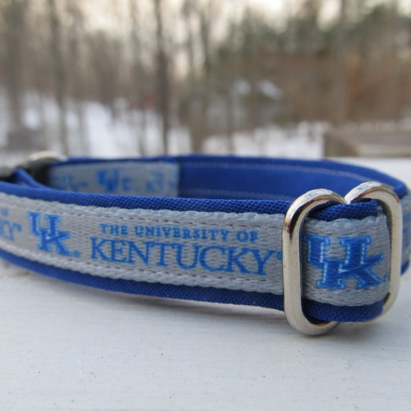 University of Kentucky Cat  or Small Dog Collar with Blue Backing