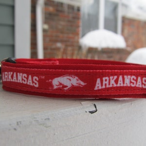 University of Arkansas Razorbacks Cat or Small Dog Collar image 5