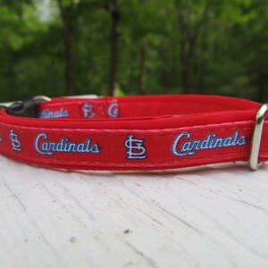 Diva Dog St. Louis Cardinals Logo Dog Collar