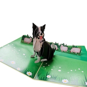 Carte chien border collie
