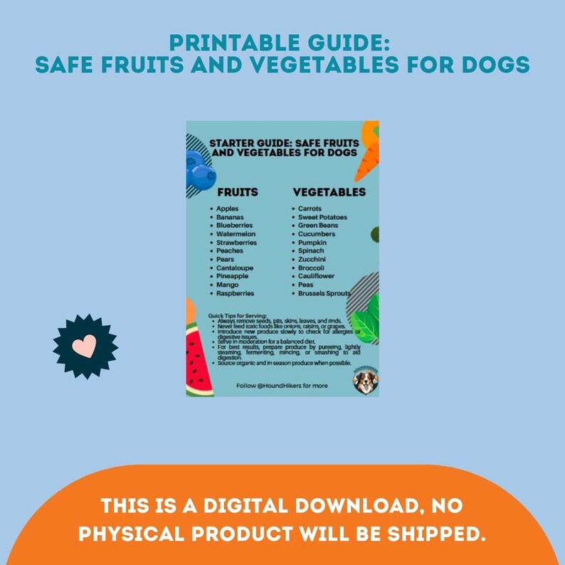 Curated visual reference: Banana And Apple For Dog Digestive Issues Reference: Printable Guide Safe Fruits And Vegetables For Dogs