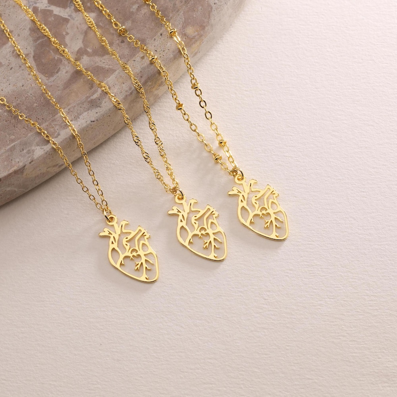 Gold Plated Dainty Anatomical Hert Pendant Necklace, Real Human Heart Necklace, Pendant Necklace, Mom Gift, Doctor Nurse Gift, Gift for her