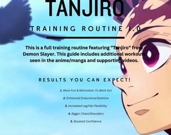 One Punch Man Training Routine 1.0 (anime Workout) - Etsy