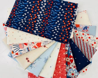 Lot de 24 tissus Fat Quarter Bloomin' Americana pour galerie d'art