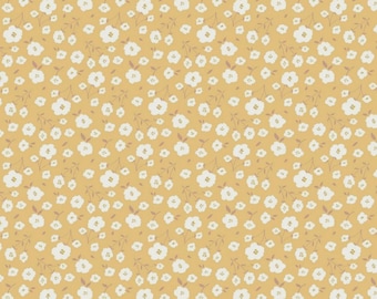 Sunsetridge au miel par Minki Kim