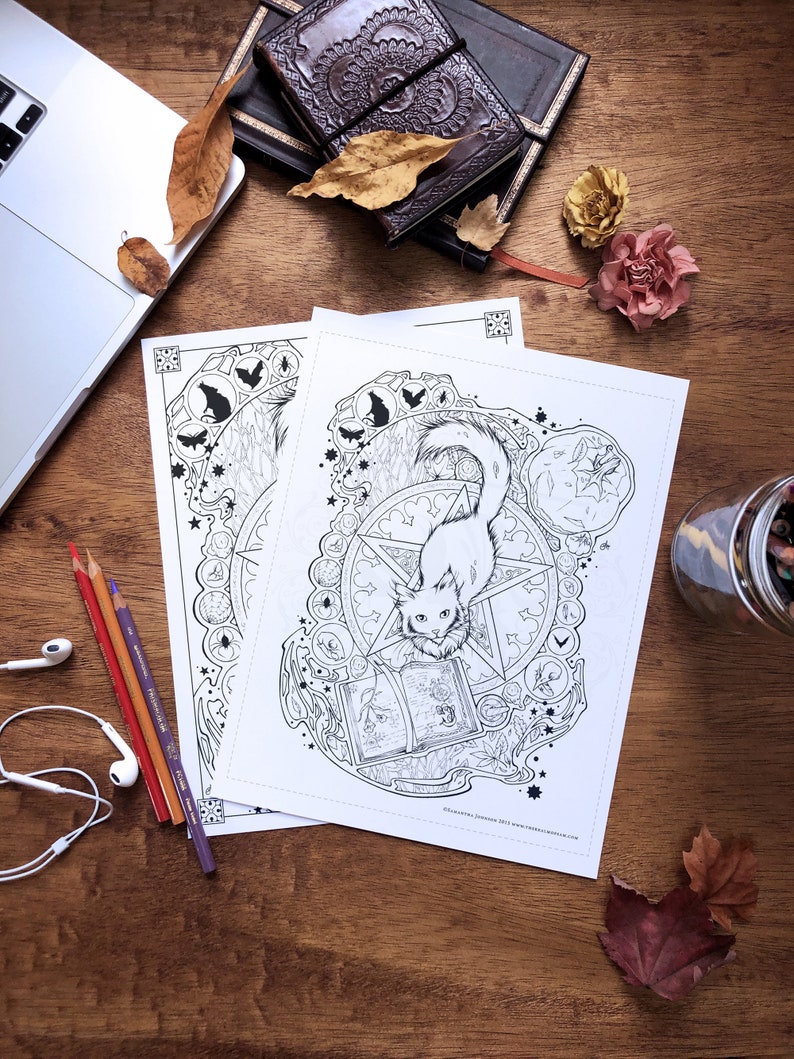 May include: A black and white printable coloring page featuring a cat sitting on a pentagram with a book and other magical symbols. The cat has a surprised expression on its face. The page is titled "Alexandra Johnson 2013 www.alexandrajohnson.com".