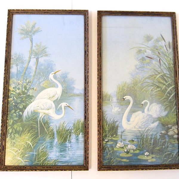 2 Vintage Bird Prints Egrets and Swans, Framed Pair Blue & White