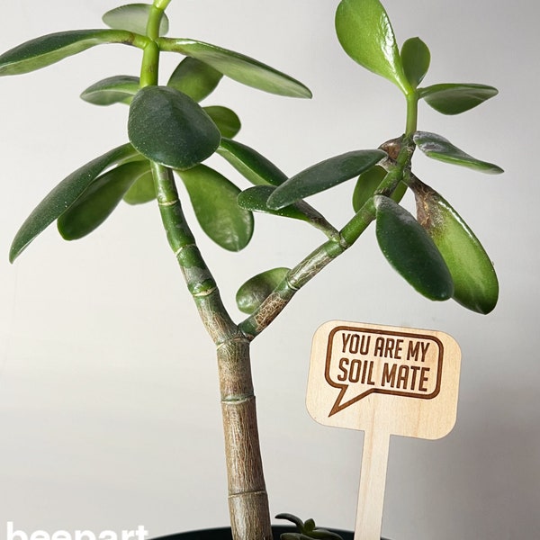 Wood plant sticks, funny plant stakes, wooden plant markers, plant quotes, indoor plant stakes