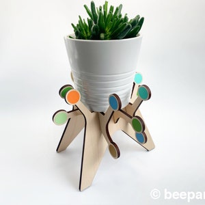 May include: A white ceramic planter with a green succulent plant sits on a wooden plant stand with colorful circles. The stand has a unique, branching design.