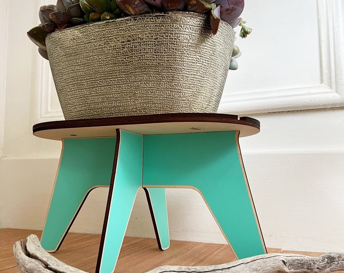 Plant stand for 2 plants wide plant stand, twin plant holder custom color indoor plant stand colorful planter wooden plant pedestal double