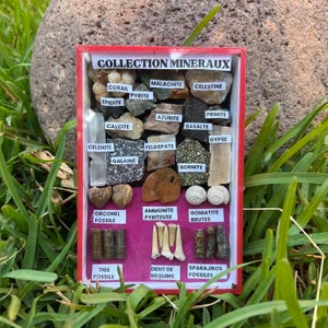 Fossil & Mineral Collection Box: Educational Geology Starter Kit, Handmade in Morocco