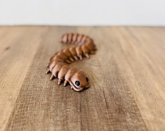 3d Printed Millipede Fidget - Bug - Bug Birthday - Bug Toy - Desk Pet - Desk Fidget - Insect Party - Birthday Party - Favor - Centipede