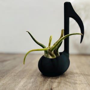 3d Printed Music Note Succulent Planter - Pot - Plant Mom - Musician - Musical - Unique Plant Pot - Musical - Home Decor - Modern