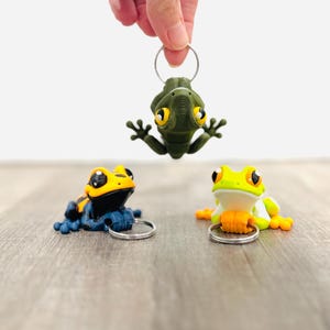 May include: Three frog keychains in various colors: dark green, yellow and blue, and green and orange. The dark green frog is suspended in the air, held by a hand. Each frog has a silver keyring attached.