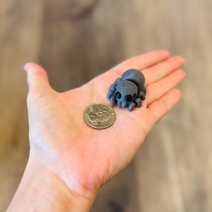 Puede incluir: Una pequeña figura de araña gris impresa en 3D con ojos y patas negras, junto a una moneda de veinticinco centavos estadounidense. La araña mide aproximadamente 2,5 cm de largo. La figura descansa sobre una mano, con un fondo de madera borroso.