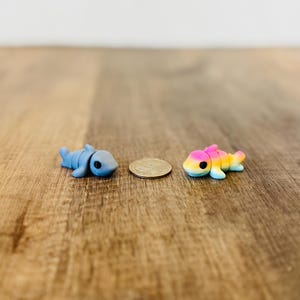 May include: Two small fish figurines, one blue and one rainbow-colored, are displayed on a wooden surface. A coin is placed between them. The blue fish has a shark-like appearance. The rainbow fish features a gradient of colors.