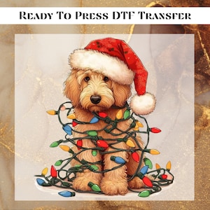 May include: A brown and white dog wearing a red Santa hat is tangled in colorful Christmas lights. The dog is sitting on a white background.