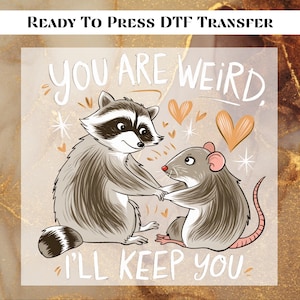 You&#39;re Weird I&#39;ll Keep You Ready To Press, Cute Raccoon and Possum DTF Print, Trendy Trash Panda Heat Transfer, Best Friends DTF Transfer