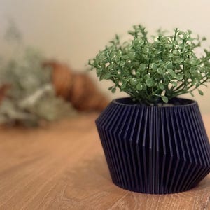 May include: A dark blue, geometric planter with a ribbed design, holding a small green plant with delicate leaves.