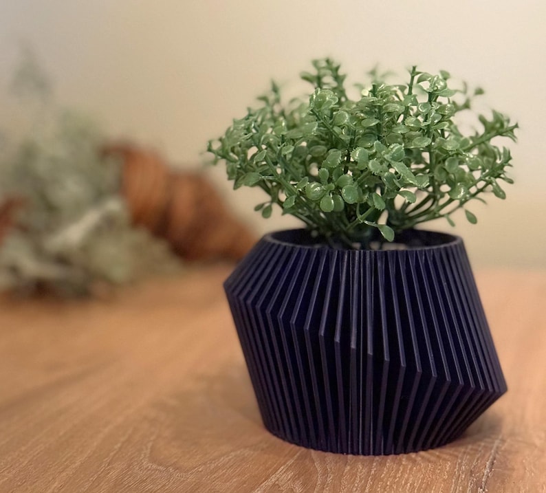 May include: A dark blue, geometric planter with a ribbed design, holding a small green plant with delicate leaves.